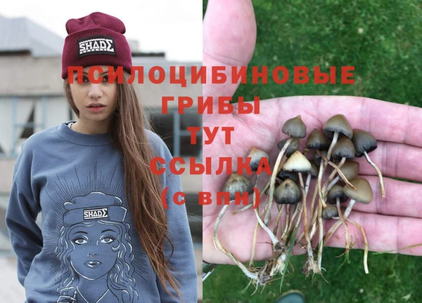 mdpv Пересвет