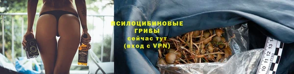 соль курить ск Осинники