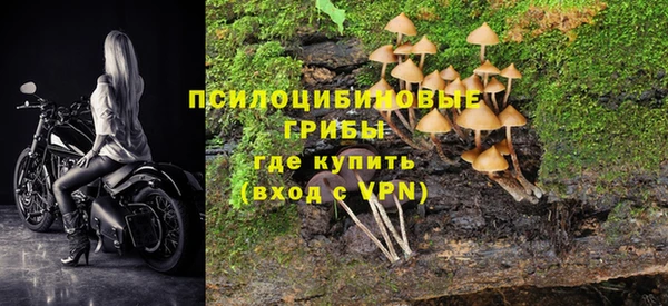 бутират Переславль-Залесский