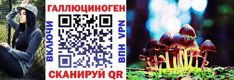 дарк нет официальный сайт  наркотики  Азнакаево  Галлюциногенные грибы прущие грибы 