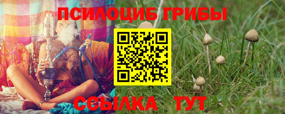Азнакаево  Псилоцибиновые грибы MAGIC MUSHROOMS  Вход с VPN  Псилоцибиновые грибы ЛСД 