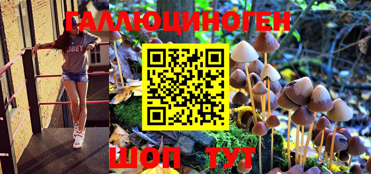 Псилоцибиновые грибы GOLDEN TEACHER Азнакаево