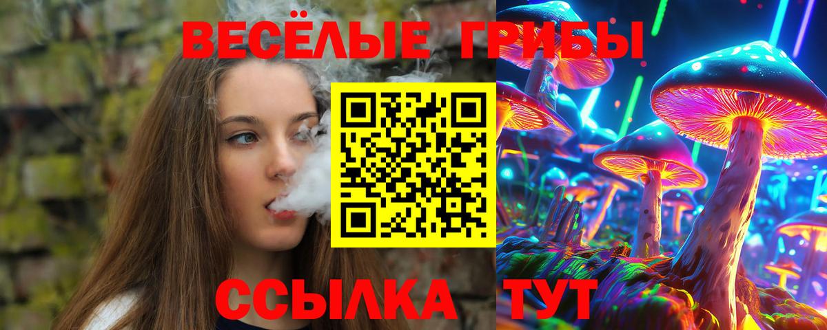 Галлюциногенные грибы Psilocybine cubensis Азнакаево